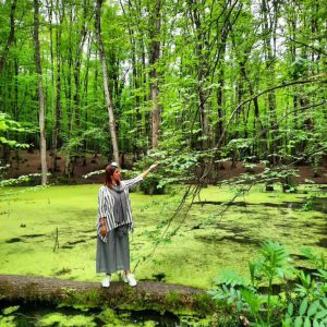 تور 1 روزه مرداب وربن و مرداب هسل