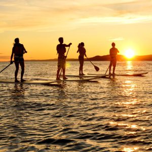 تور 2.5 روزه پدل برد سواری در امتداد کارون