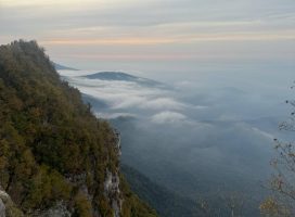 IMG_20260803_171229_059-1