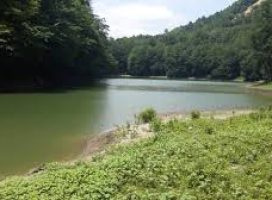 images (3)