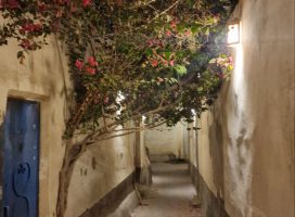 photo_2025-10-14_14-59-23