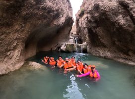 photo_2025-10-14_15-11-12