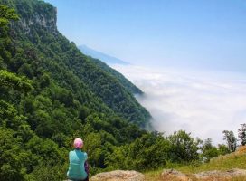 تصاویر-تور-جهان-نما-نارون-اکوتور-5