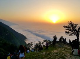 تصاویر-تور-جهان-نما-نارون-اکوتور-6