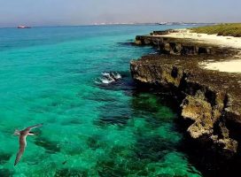 جزیرهمارو